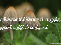 மரியாள் சீக்கிரமாய் எழுந்து அவரிடத்தில் வந்தாள்