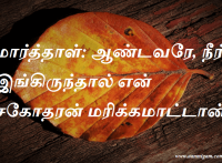 மார்த்தாள் ஆண்டவரே நீர் இங்கிருந்தால் என் சகோதரன் மரிக்கமாட்டான்