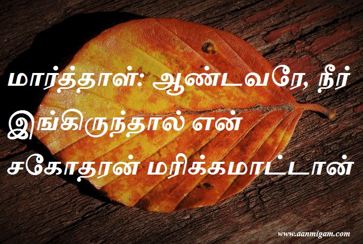 மார்த்தாள் ஆண்டவரே நீர் இங்கிருந்தால் என் சகோதரன் மரிக்கமாட்டான்