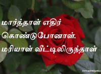 மார்த்தாள் எதிர் கொண்டுபோனாள். மரியாள் வீட்டிலிருந்தாள்