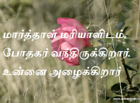 மார்த்தாள் மரியாளிடம், போதகர் வந்திருக்கிறார். உன்னை அழைக்கிறார்