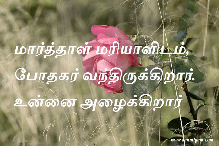 மார்த்தாள் மரியாளிடம், போதகர் வந்திருக்கிறார். உன்னை அழைக்கிறார்