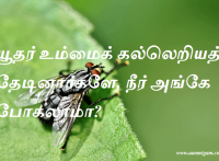 யூதர் உம்மைக் கல்லெறியத் தேடினார்களே, நீர் அங்கே போகலாமா