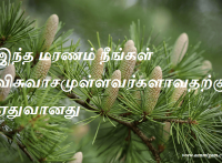 இந்த மரணம் நீங்கள் விசுவாசமுள்ளவர்களாவதற்கு ஏதுவானது