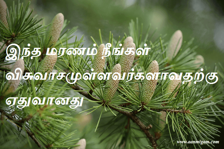இந்த மரணம் நீங்கள் விசுவாசமுள்ளவர்களாவதற்கு ஏதுவானது