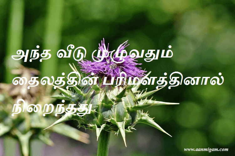 அந்த வீடு முழுவதும் தைலத்தின் பரிமளத்தினால் நிறைந்தது