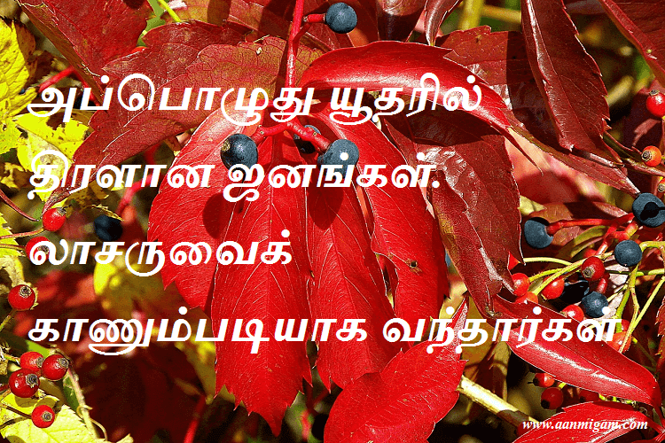 அப்பொழுது யூதரில் திரளான ஜனங்கள். லாசருவைக் காணும்படியாக வந்தார்கள்