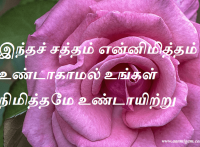 இந்தச் சத்தம் என்னிமித்தம் உண்டாகாமல் உங்கள் நிமித்தமே உண்டாயிற்று