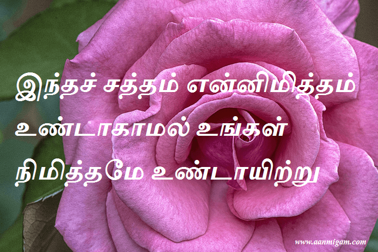 இந்தச் சத்தம் என்னிமித்தம் உண்டாகாமல் உங்கள் நிமித்தமே உண்டாயிற்று