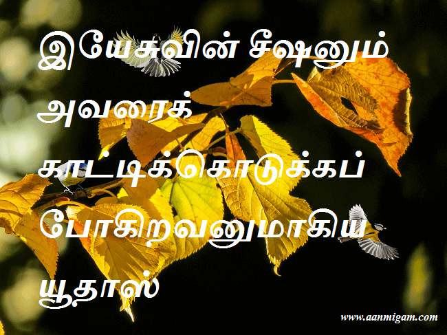 இயேசுவின் சீஷனும் அவரைக் காட்டிக்கொடுக்கப் போகிறவனுமாகிய யூதாஸ்