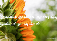 இருளில் அகப்படாதபடிக்கு ஒளியில் நடவுங்கள்