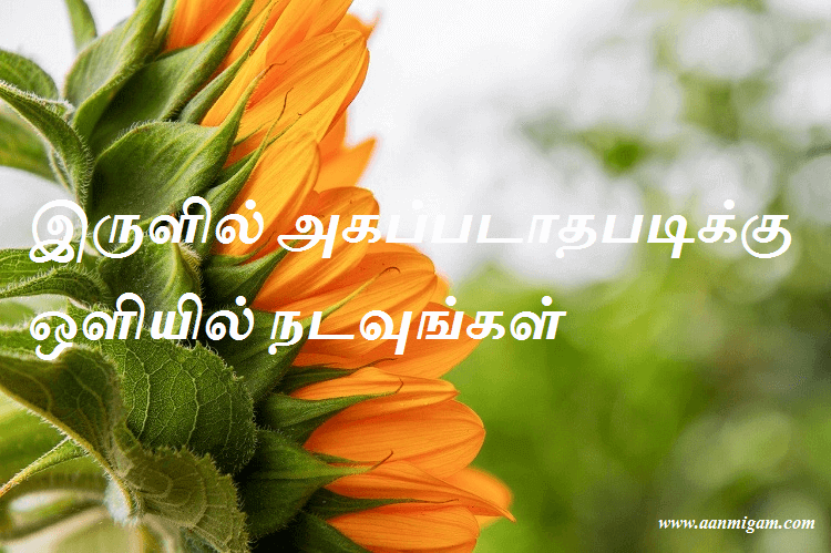 இருளில் அகப்படாதபடிக்கு ஒளியில் நடவுங்கள்