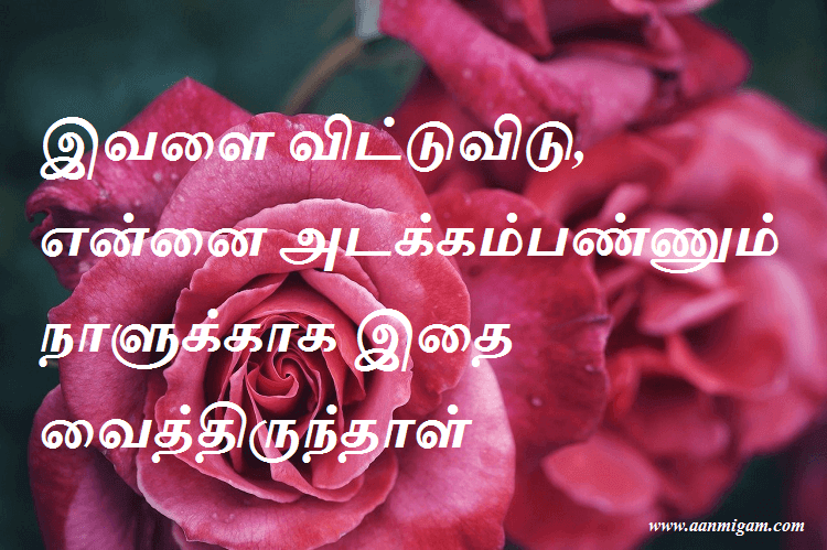 இவளை விட்டுவிடு, என்னை அடக்கம்பண்ணும் நாளுக்காக இதை வைத்திருந்தாள்