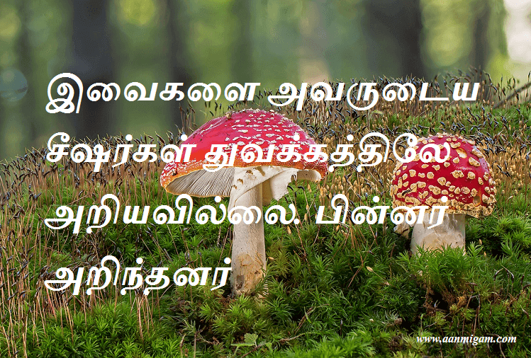 இவைகளை அவருடைய சீஷர்கள் துவக்கத்திலே அறியவில்லை. பின்னர் அறிந்தனர்
