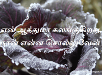என் ஆத்துமா கலங்குகிறது, நான் என்ன சொல்லுவேன்