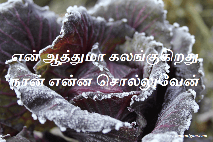என் ஆத்துமா கலங்குகிறது, நான் என்ன சொல்லுவேன்
