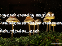 ஒருவன் எனக்கு ஊழியம் செய்கிறவனானால் என்னைப் பின்பற்றக்கடவன்