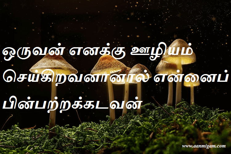 ஒருவன் எனக்கு ஊழியம் செய்கிறவனானால் என்னைப் பின்பற்றக்கடவன்