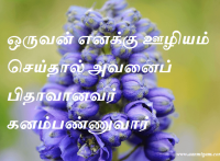 ஒருவன் எனக்கு ஊழியம் செய்தால் அவனைப் பிதாவானவர் கனம்பண்ணுவார்