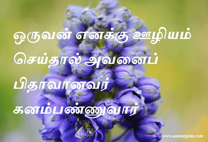 ஒருவன் எனக்கு ஊழியம் செய்தால் அவனைப் பிதாவானவர் கனம்பண்ணுவார்