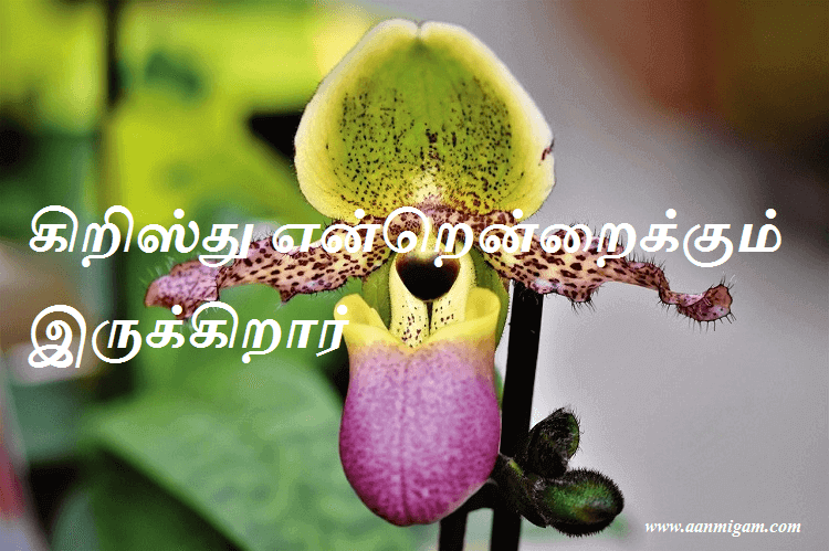 கிறிஸ்து என்றென்றைக்கும் இருக்கிறார்