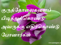 குருத்தோலைகளைப் பிடித்துக்கொண்டு அவருக்கு எதிர்கொண்டு போனார்கள்