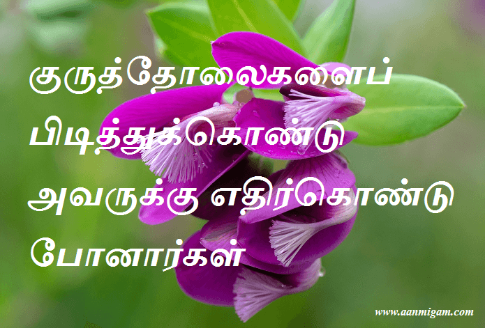 குருத்தோலைகளைப் பிடித்துக்கொண்டு அவருக்கு எதிர்கொண்டு போனார்கள்