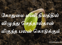 கோதுமை மணி நிலத்தில் விழுந்து செத்தால்தான் மிகுந்த பலன் கொடுக்கும்