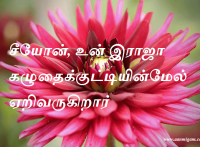 சீயோன், உன் இராஜா கழுதைக்குட்டியின்மேல் ஏறிவருகிறார்