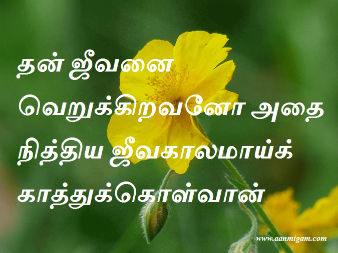 தன் ஜீவனை வெறுக்கிறவனோ அதை நித்திய ஜீவகாலமாய்க் காத்துக்கொள்வான்