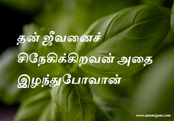 தன் ஜீவனைச் சிநேகிக்கிறவன் அதை இழந்துபோவான்