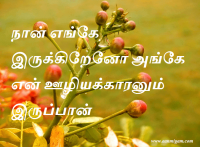 நான் எங்கே இருக்கிறேனோ அங்கே என் ஊழியக்காரனும் இருப்பான்