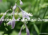 நான் பூமியிலிருந்து உயர்த்தப்பட்டிருக்கும்போது