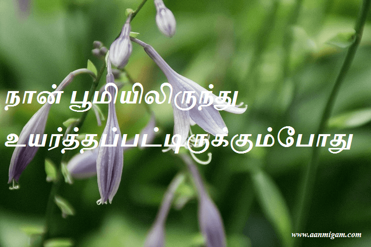 நான் பூமியிலிருந்து உயர்த்தப்பட்டிருக்கும்போது