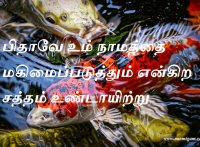 பிதாவே உம் நாமத்தை மகிமைப்படுத்தும் என்கிற சத்தம் உண்டாயிற்று