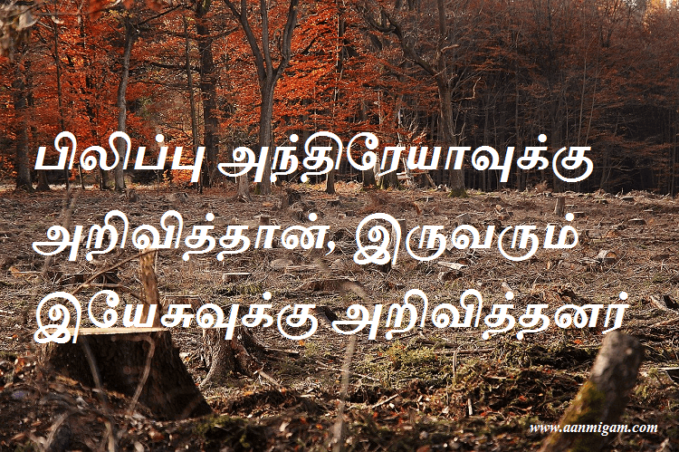 பிலிப்பு அந்திரேயாவுக்கு அறிவித்தான், இருவரும் இயேசுவுக்கு அறிவித்தனர்
