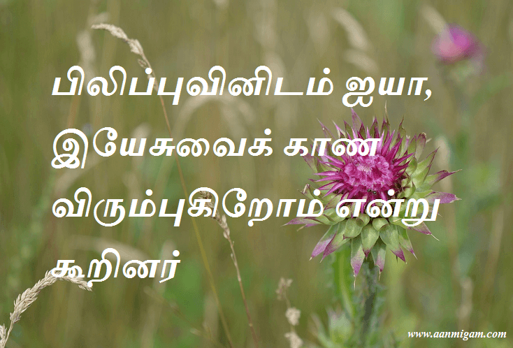 பிலிப்புவினிடம் ஐயா, இயேசுவைக் காண விரும்புகிறோம் என்று கூறினர்