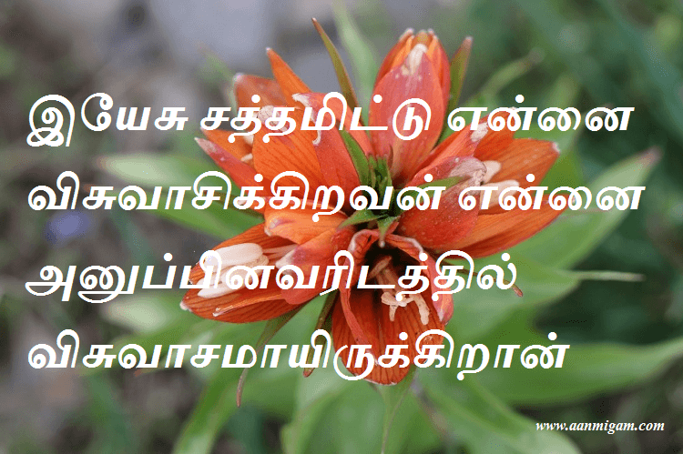 இயேசு சத்தமிட்டு என்னை விசுவாசிக்கிறவன் என்னை அனுப்பினவரிடத்தில் விசுவாசமாயிருக்கிறான்