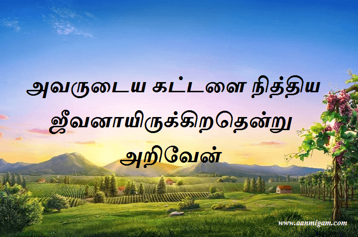அவருடைய கட்டளை நித்திய ஜீவனாயிருக்கிறதென்று அறிவேன்