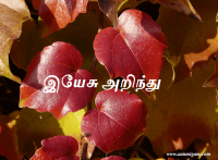 இயேசு அறிந்து