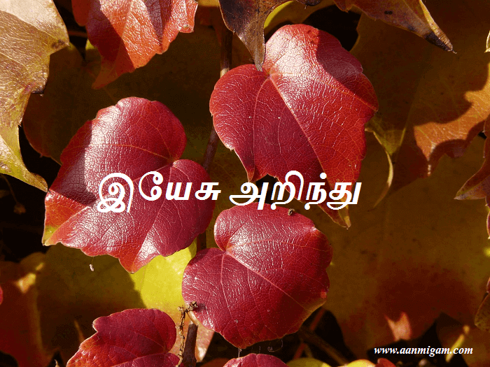 இயேசு அறிந்து