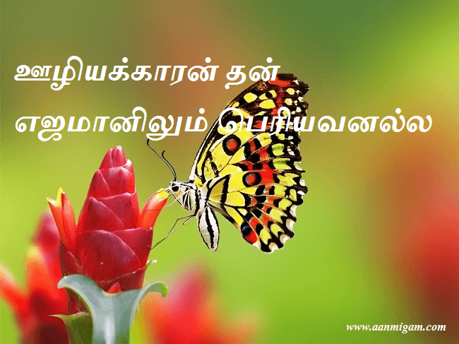 ஊழியக்காரன் தன் எஜமானிலும் பெரியவனல்ல