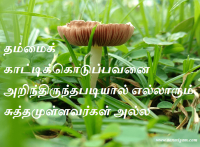 தம்மைக் காட்டிக்கொடுப்பவனை அறிந்திருந்தபடியால் எல்லாரும் சுத்தமுள்ளவர்கள் அல்ல
