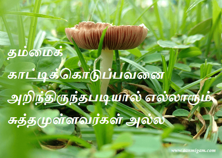 தம்மைக் காட்டிக்கொடுப்பவனை அறிந்திருந்தபடியால் எல்லாரும் சுத்தமுள்ளவர்கள் அல்ல