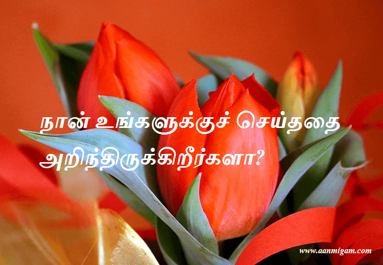 நான் உங்களுக்குச் செய்ததை அறிந்திருக்கிறீர்களா