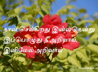நான் செய்கிறது இன்னதென்று இப்பொழுது நீ அறியாய், இனிமேல் அறிவாய்