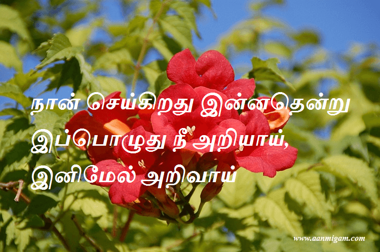நான் செய்கிறது இன்னதென்று இப்பொழுது நீ அறியாய், இனிமேல் அறிவாய்