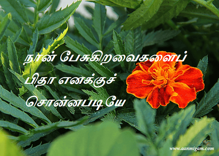 நான் பேசுகிறவைகளைப் பிதா எனக்குச் சொன்னபடியே பேசுகிறேன்