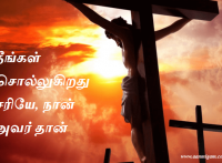 நீங்கள் சொல்லுகிறது சரியே, நான் அவர் தான்
