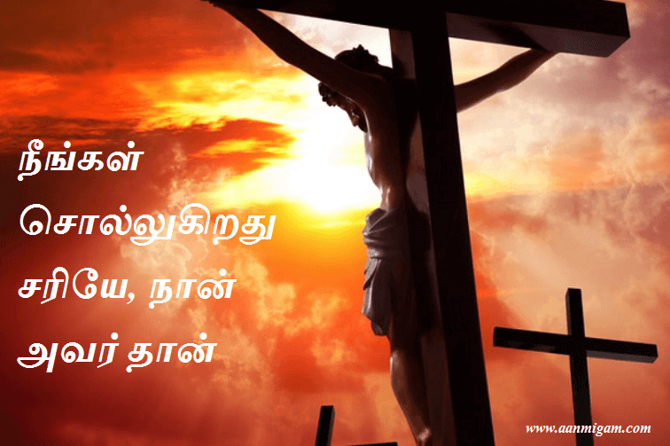 நீங்கள் சொல்லுகிறது சரியே, நான் அவர் தான்
